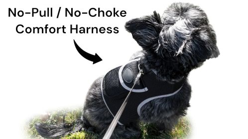 Heavy Duty GSM GPS Dog Collar Realtime Rechargeable Tracking Device w/ Phone App Size:S