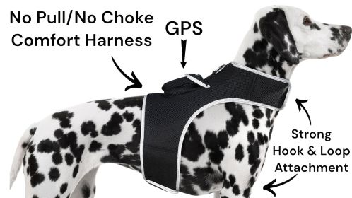 Waterproof Security GPS Dog Collar Realtime Wireless Mini Pet Locator Size:S