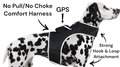Economical Waterproof Mini GPS GSM Pet Tracker for Realtime Tracking Size:L