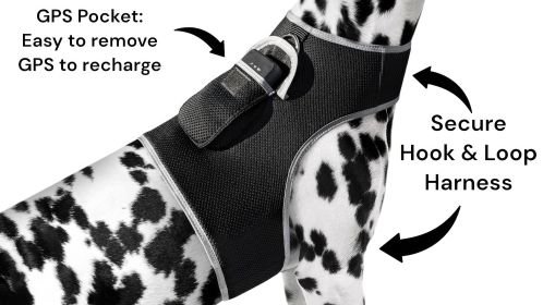Set Pet Perimeter Boundary w/ Pet Tracker GPS Tracking Dog Collar Tracker Size:L
